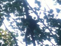 View photo in a new window