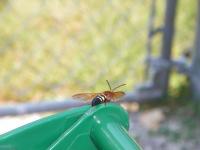 View photo in a new window