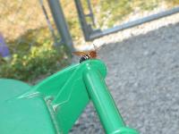 View photo in a new window