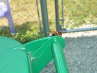 View photo in a new window