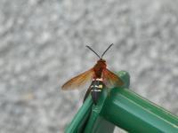 View photo in a new window