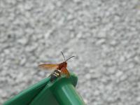 View photo in a new window