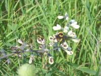 View photo in a new window