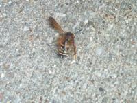 View photo in a new window