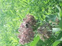 View photo in a new window