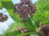 View photo in a new window