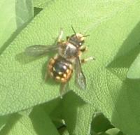 View photo in a new window