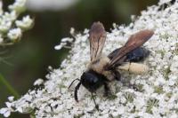 View photo in a new window