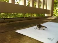 View photo in a new window