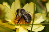 View photo in a new window