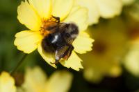 View photo in a new window