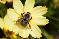 View photo in a new window