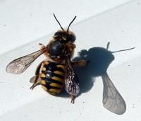 View photo in a new window