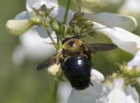 View photo in a new window