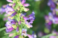 View photo in a new window