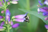 View photo in a new window