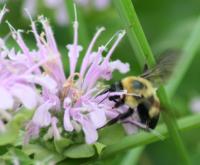 View photo in a new window