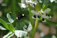 View photo in a new window