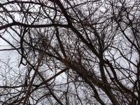 View photo in a new window