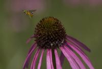 View photo in a new window