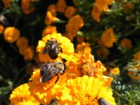 View photo in a new window