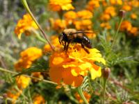 View photo in a new window