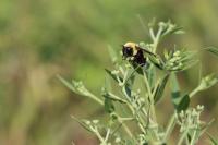 View photo in a new window