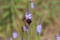 View photo in a new window