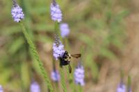 View photo in a new window