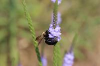 View photo in a new window