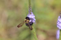 View photo in a new window