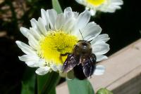 View photo in a new window