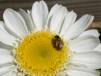 View photo in a new window