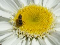 View photo in a new window