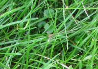 View photo in a new window