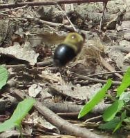 View photo in a new window