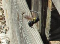 View photo in a new window