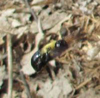 View photo in a new window