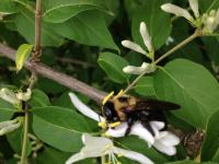 View photo in a new window