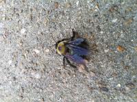 View photo in a new window