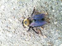 View photo in a new window