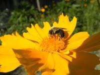 View photo in a new window