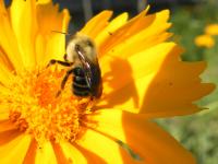 View photo in a new window