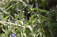 View photo in a new window