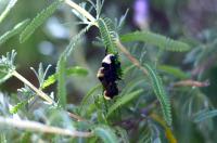 View photo in a new window