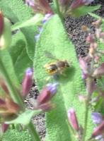 View photo in a new window