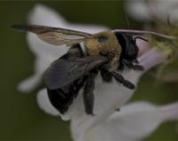 View photo in a new window