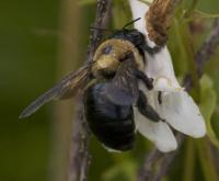 View photo in a new window