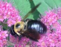 View photo in a new window