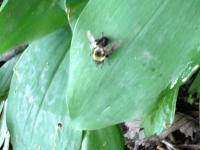 View photo in a new window